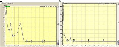 Origanum majorana L. polyphenols: in vivo antiepileptic effect, in silico evaluation of their bioavailability, and interaction with the NMDA receptor